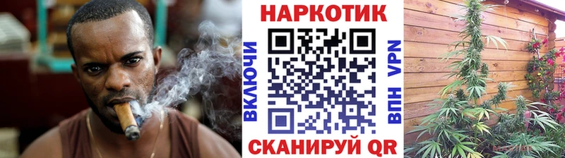 Где найти наркотики Петровск-Забайкальский Бошки Шишки  Cocaine  Амфетамин  ГАШИШ 