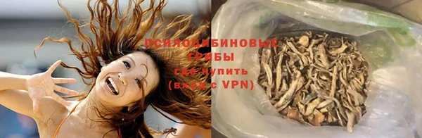 a pvp Алексин