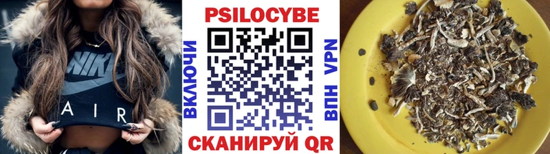 Галлюциногенные грибы GOLDEN TEACHER  купить   Петровск-Забайкальский 